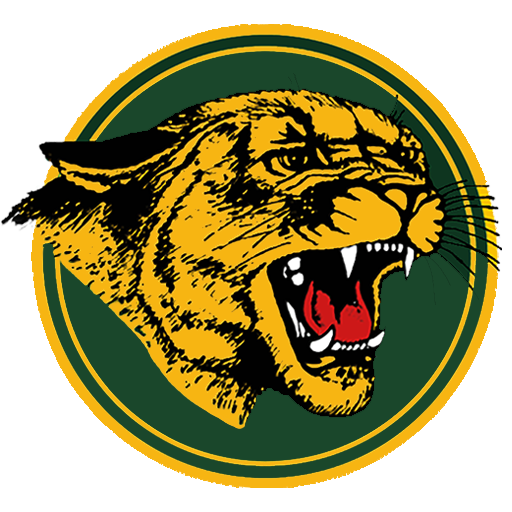 Brea Olinda Wildcats Football