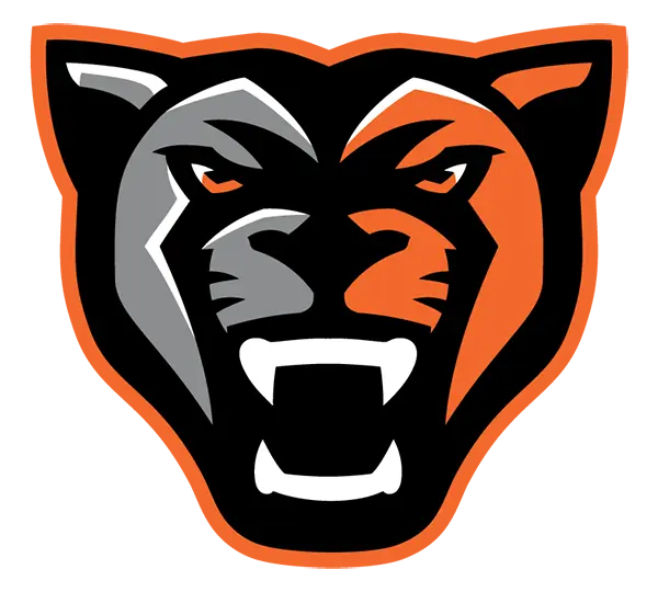 Orange Panthers Football